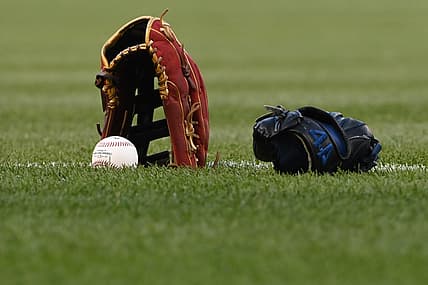 baseball brawl