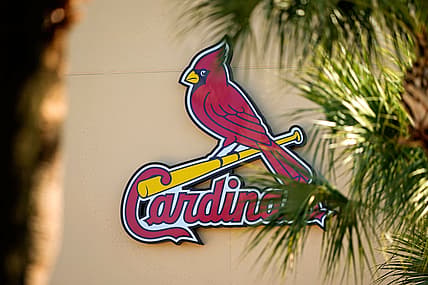 MLB: St. Louis Cardinals-Workouts