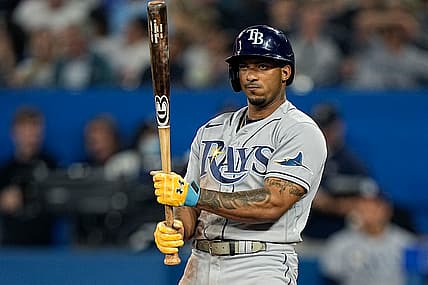 tampa bay rays, wander franco