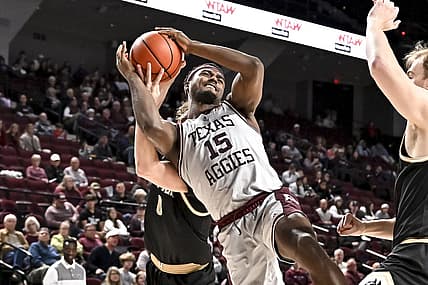 Dec 20, 2022; College Station, Texas, USA; Texas A&M Aggies forward Henry Coleman III (15) is fouled by Wofford Terriers guard Jackson Sivills (0) during the second half at Reed Arena. Mandatory Credit: Maria Lysaker-USA TODAY Sports
