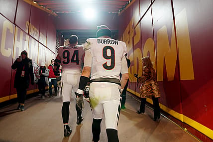 cincinnati bengals