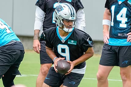 carolina panthers