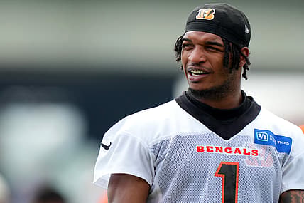 cincinnati bengals