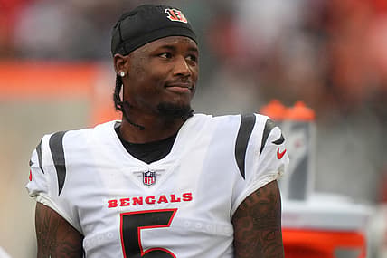 cincinnati bengals