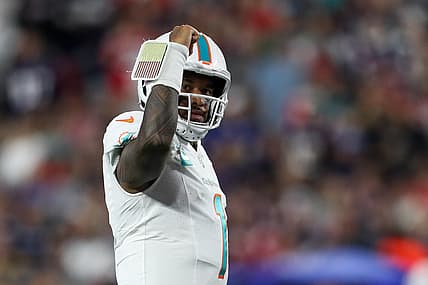 miami dolphins, chicago bears