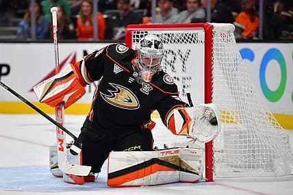 Oct 19, 2023; Anaheim, California, USA; Anaheim Ducks goaltender John Gibson (36) stops a shot against the Dallas Stars during the first period at Honda Center. Mandatory Credit: Gary A. Vasquez-USA TODAY Sports