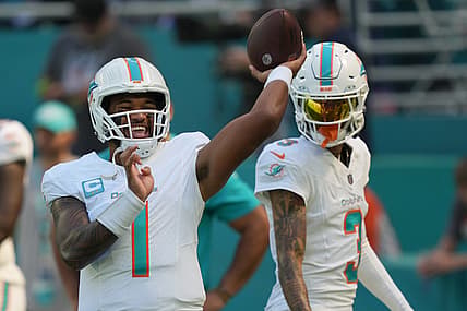 miami dolphins