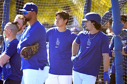 Los Angeles Dodgers' Shohei Ohtani