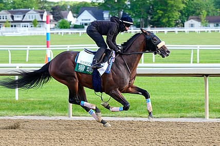 belmont stakes