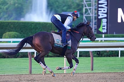 belmont stakes
