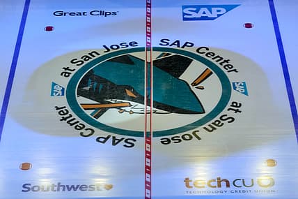 San Jose Sharks, Sergei Bobrovsky
