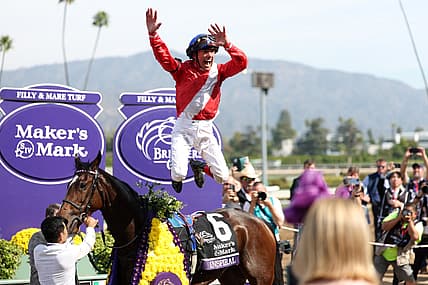 Horse Racing: 2023 Breeders' Cup Championship