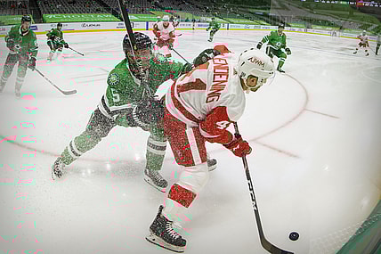 Jan 26, 2021; Dallas, Texas, USA; Dallas Stars defenseman Andrej Sekera (5) and Detroit Red Wings center Luke Glendening (41) fight for the puck during the first period at the American Airlines Center. Mandatory Credit: Jerome Miron-USA TODAY Sports