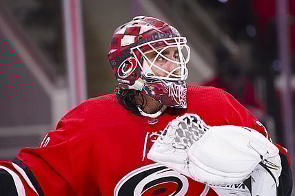 Feb 20, 2021; Raleigh, North Carolina, USA;  Carolina Hurricanes goaltender Alex Nedeljkovic (39) looks on against the Tampa Bay Lightning during the third period at PNC Arena. Mandatory Credit: James Guillory-USA TODAY Sports