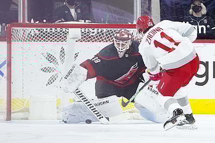 Mar 4, 2021; Raleigh, North Carolina, USA;  Carolina Hurricanes goaltender Alex Nedeljkovic (39) stops a shot by Detroit Red Wings right wing Filip Zadina (11) during the first period at PNC Arena. Mandatory Credit: James Guillory-USA TODAY Sports