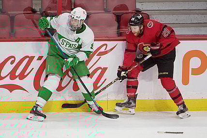 Mar 14, 2021; Ottawa, Ontario, CAN; Toronto Maple Leafs defenseman Jake Muzzin (8) and Ottawa Senators right wing Connor Brown (28) battle in the third period at the Canadian Tire Centre. Mandatory Credit: Marc DesRosiers-USA TODAY Sports