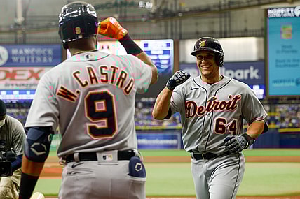 Sep 18, 2021; St. Petersburg, Florida, USA; Detroit Tigers catcher Dustin Garneau (64) is congratulated by shortstop Willi Castro (9) after hitting a home run in the second inning against the Tampa Bay Rays at Tropicana Field. Mandatory Credit: Nathan Ray Seebeck-USA TODAY Sports