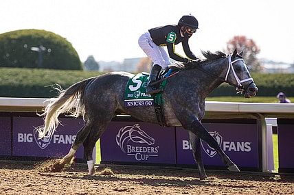 Nov 7, 2020; Lexington, KY, USA; Knicks Go with Joel Rosario up wins the Big Ass Fans Breeders' Cup Dirt Mile race during the 37th Breeders Cup World Championship at Keeneland Race Track. Mandatory Credit: Arden Barnes-USA TODAY Sports
