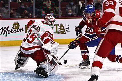 Nov 2, 2021; Montreal, Quebec, CAN; Detroit Red Wings goaltender Alex Nedeljkovic (39) makes a save against Montreal Canadiens center Christian Dvorak (28) during the second period at Bell Centre. Mandatory Credit: Jean-Yves Ahern-USA TODAY Sports