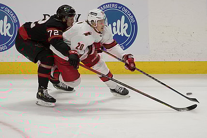 Jan 27, 2022; Ottawa, Ontario, CAN; Ottawa Senators defenseman Thomas Chabot (72) battles with Carolina Hurricanes center Sebastian Aho (20) for control of the puck in the third period at the Canadian Tire Centre. Mandatory Credit: Marc DesRosiers-USA TODAY Sports
