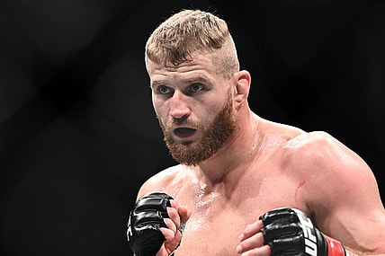 jan blachowicz