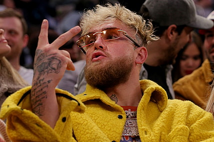 jake paul, logan paul, wwe