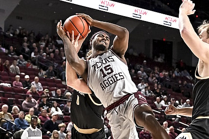 Dec 20, 2022; College Station, Texas, USA; Texas A&M Aggies forward Henry Coleman III (15) is fouled by Wofford Terriers guard Jackson Sivills (0) during the second half at Reed Arena. Mandatory Credit: Maria Lysaker-USA TODAY Sports