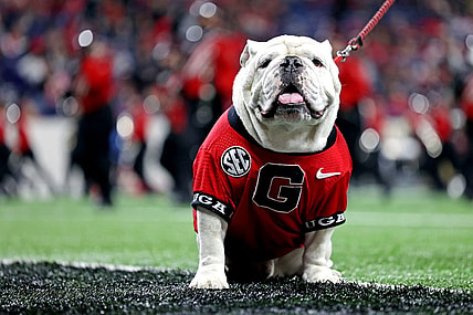 Jan 10, 2022; Indianapolis, IN, USA; The Georgia Bulldogs mascot Uga on the sideline during the first half in the 2022 CFP college football national championship game between the Alabama Crimson Tide and the Georgia Bulldogs at Lucas Oil Stadium. Mandatory Credit: Trevor Ruszkowski-USA TODAY Sports