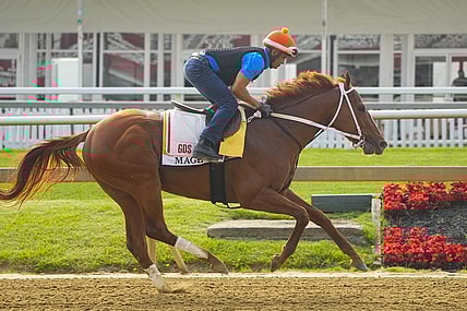 May 16, 2023; Baltimore, MD, USA; Preakness Stakes contender Mage trains Tuesday morning at Pimlico Race Track. Mandatory Credit: Gregory Fisher-USA TODAY Sports