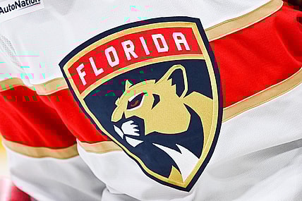 florida panthers