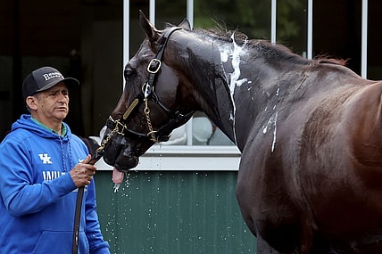 Jun 7, 2023; Elmont, New York, USA; Belmont Stakes contender Forte is bathed after a morning workout at Belmont Park. Mandatory Credit: Brad Penner-USA TODAY Sports
