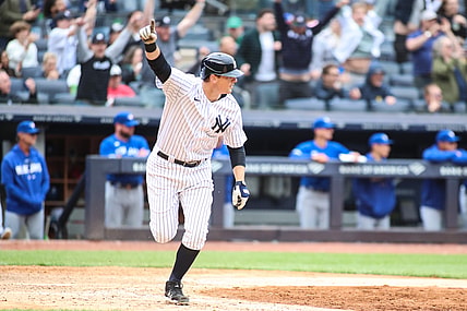DJ LeMahieu celebrates a game-winning hit.