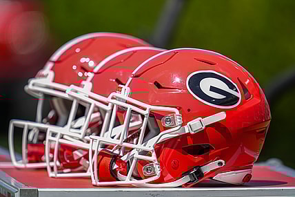 georgia bulldogs