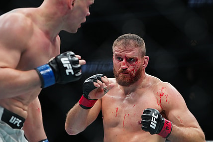 ufc light heavyweight rankings