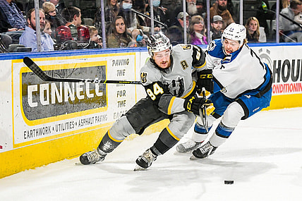 Brayden Pachal Henderson Silver Knights (Photo- Henderson Silver Knights via Twitter)