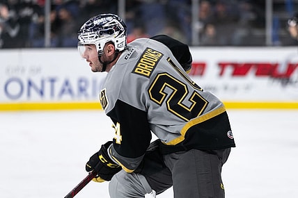 Adam Brooks Henderson Silver Knights (Photo- Henderson Silver Knights Website)