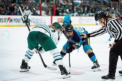 New York Sirens forward Casey O'Brien readies for a faceoff against the Boston Fleet.