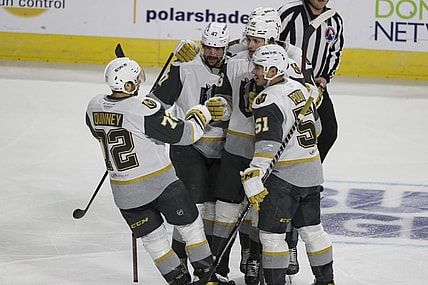 Henderson Silver Knights (Photo- Henderson Silver Knights official website)