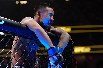 ufc flyweight rankings