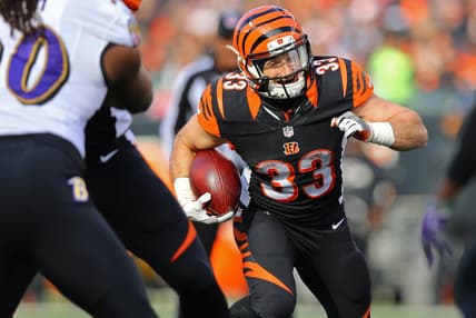 Rex Burkhead