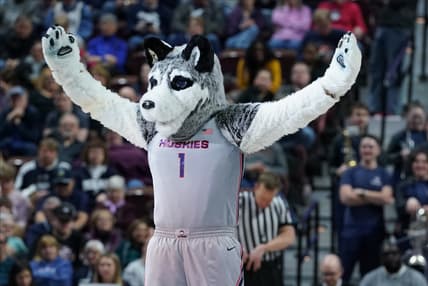 UConn Huskies mascot