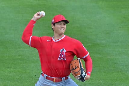 Shohei Ohtani