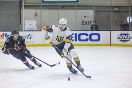 Daniil Chayka Vegas Golden Knights prospect (Photo- Vegas Golden Knights via Twitter)