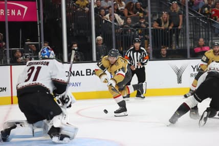 William Karlsson goal, Vegas Golden Knights (Photo- Vegas Golden Knights via Twitter)