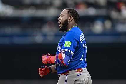 Toronto Blue Jays first baseman Vladimir Guerrero Jr. upset at umpire's call