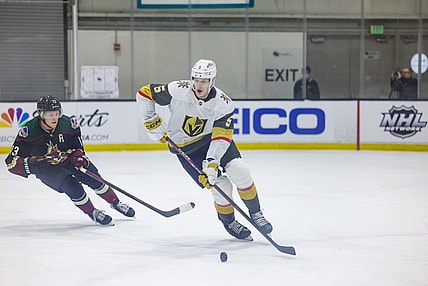 Daniil Chayka Vegas Golden Knights prospect (Photo- Vegas Golden Knights via Twitter)