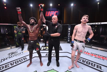 Aljamain Sterling UFC 250
