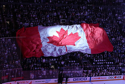 Canadian flag in Toronto crowd