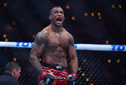 ufc heavyweight rankings