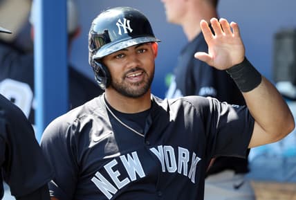 new york yankees